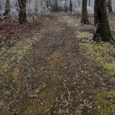 Review photo of Monte Sano State Park Campground by Rebekah C., February 15, 2021