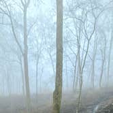 Review photo of Monte Sano State Park Campground by Rebekah C., February 15, 2021