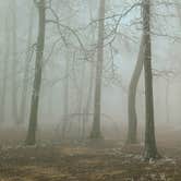 Review photo of Monte Sano State Park Campground by Rebekah C., February 15, 2021