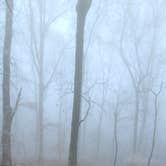 Review photo of Monte Sano State Park Campground by Rebekah C., February 15, 2021