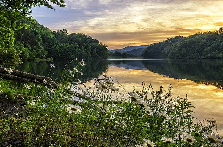 Camper submitted image from Waitsboro Campground - Lake Cumberland - 2