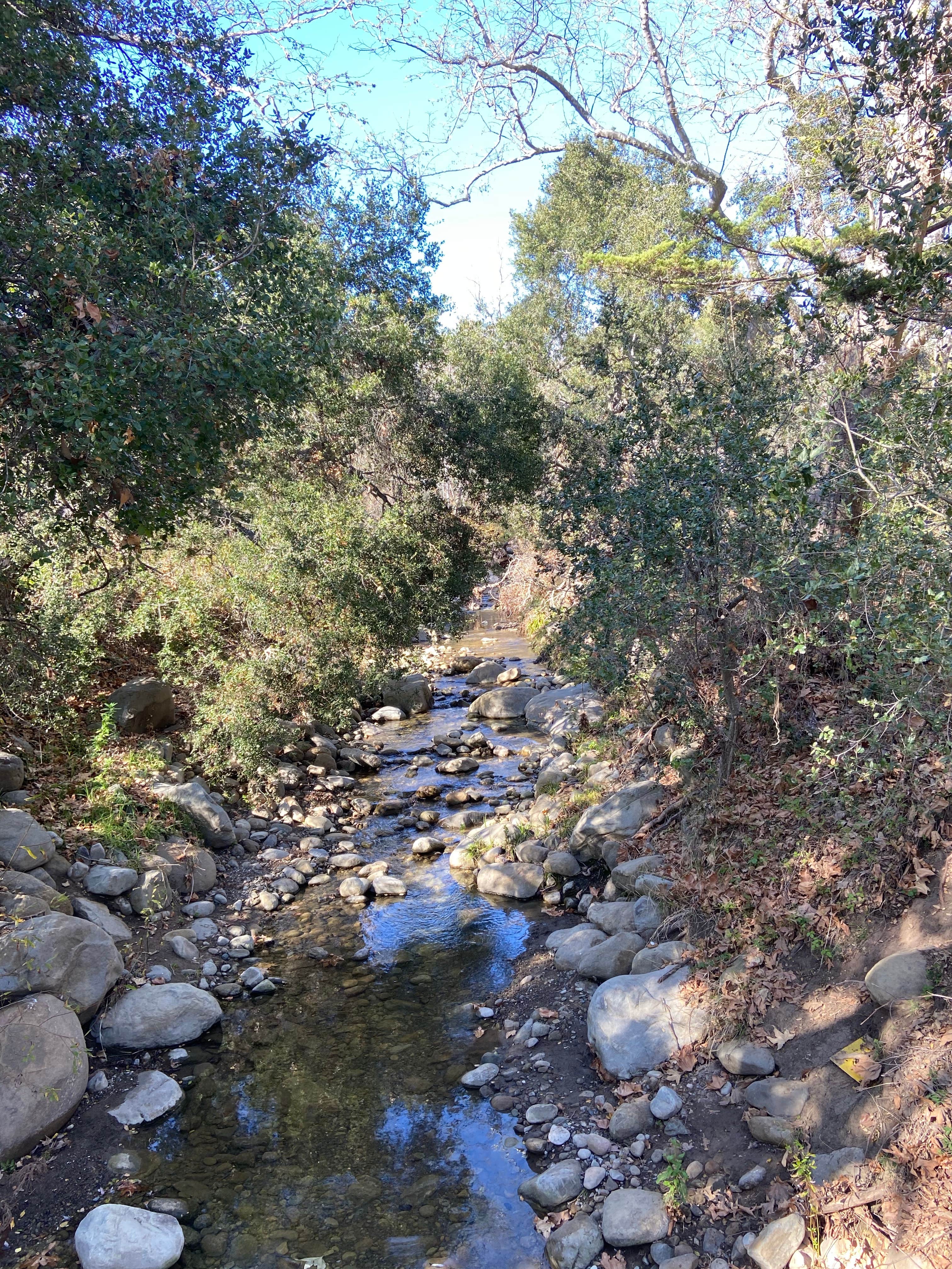 Camper-submitted photo at El Capitán State Beach Campground near Lompoc, CA