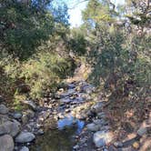 Review photo of El Capitán State Beach Campground by Robby T., February 15, 2021