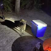 Review photo of Fort De Soto Campground by Shaun C., February 15, 2021