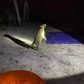 Review photo of Fort De Soto Campground by Shaun C., February 15, 2021