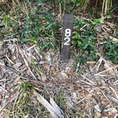 Review photo of Fort De Soto Campground by Shaun C., February 15, 2021