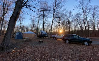 Shannon G.'s photo at A.W. Marion State Park Campground near Columbus, OH