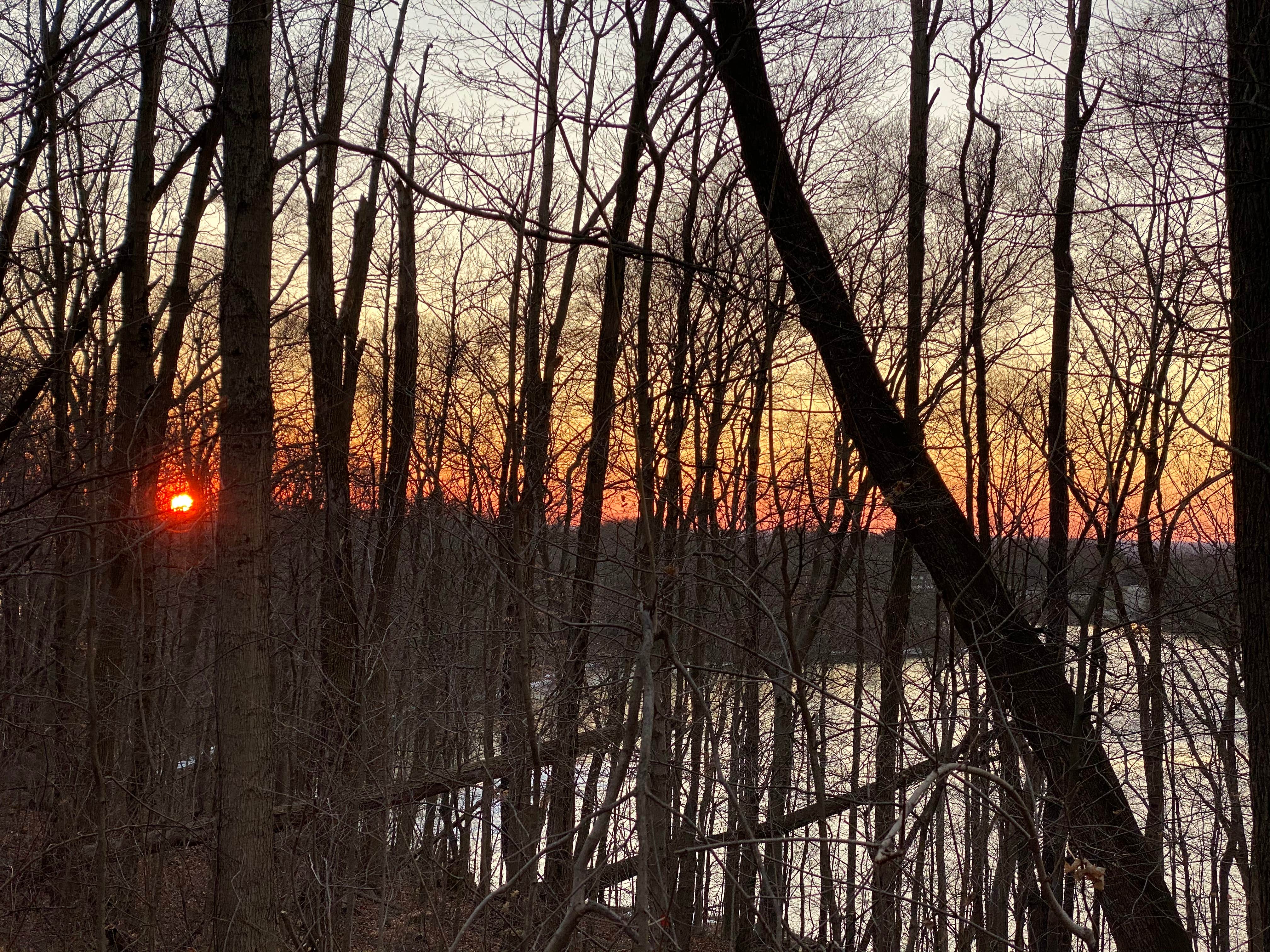 A.W. Marion State Park Campground