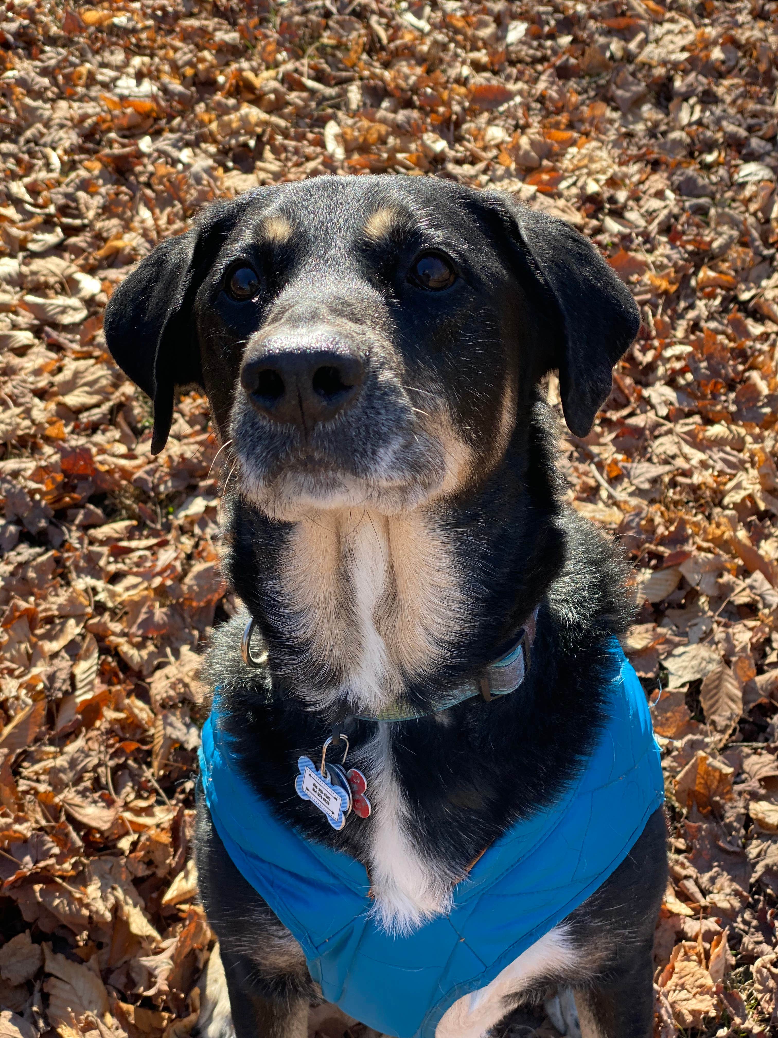 Camper-submitted photo at A.W. Marion State Park Campground near Geneva, OH