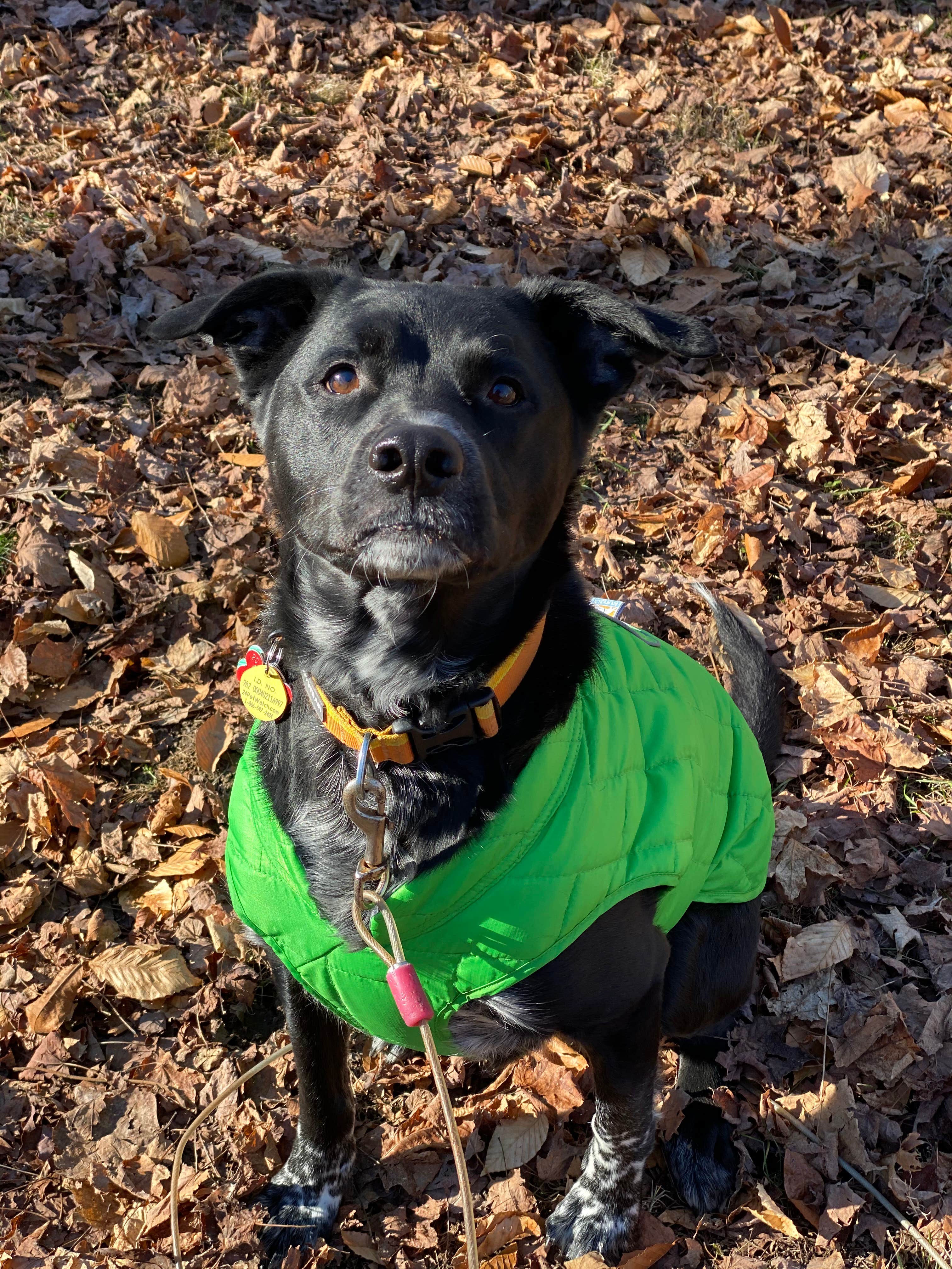 Camper-submitted photo at A.W. Marion State Park Campground near Geneva, OH