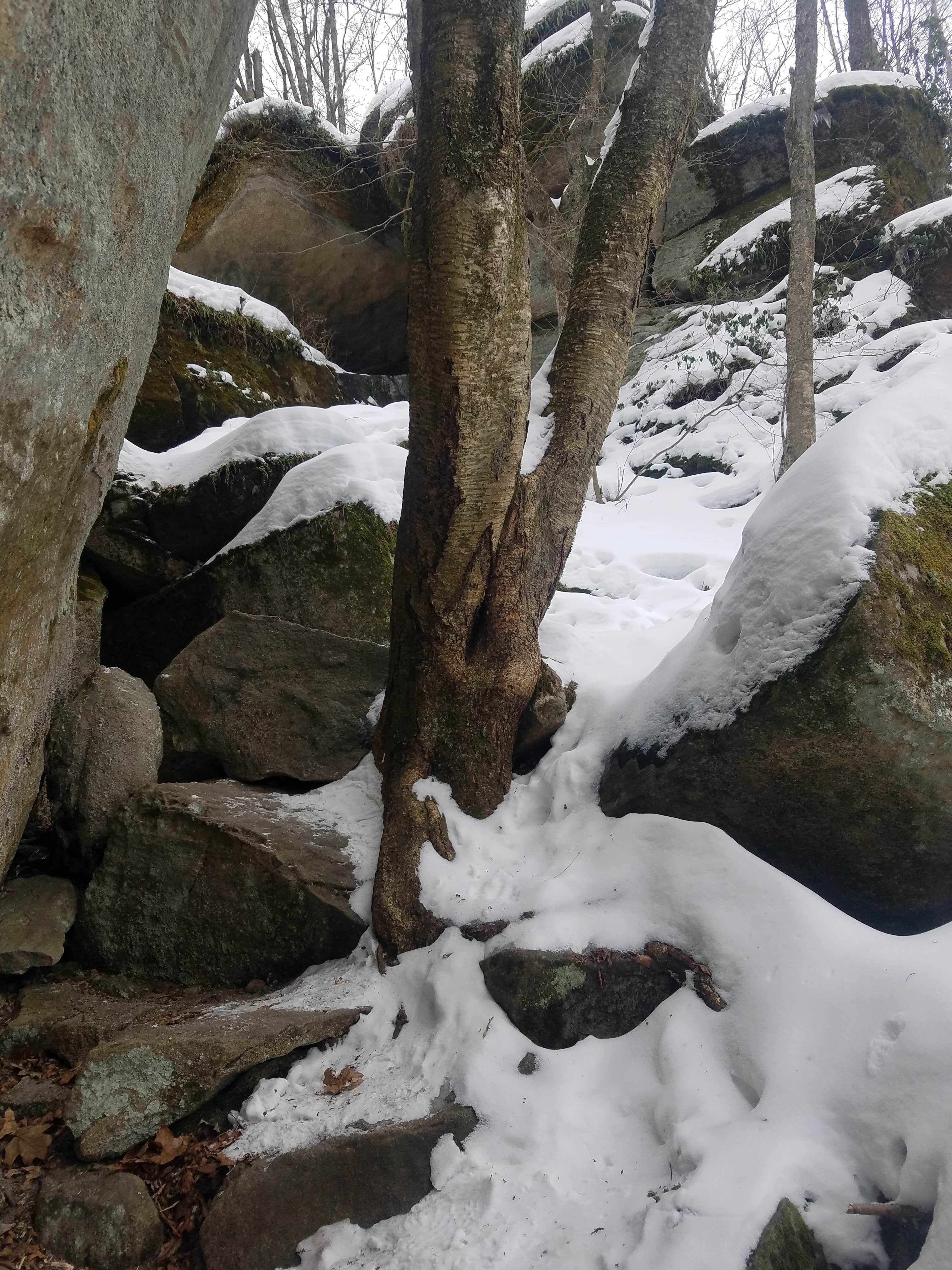 Camper-submitted photo at Minister Creek Campground near Bradford, PA