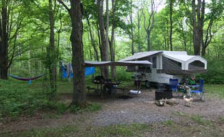 Brenley R.'s photo at Backbone Horse Campground near Penn Yan, NY