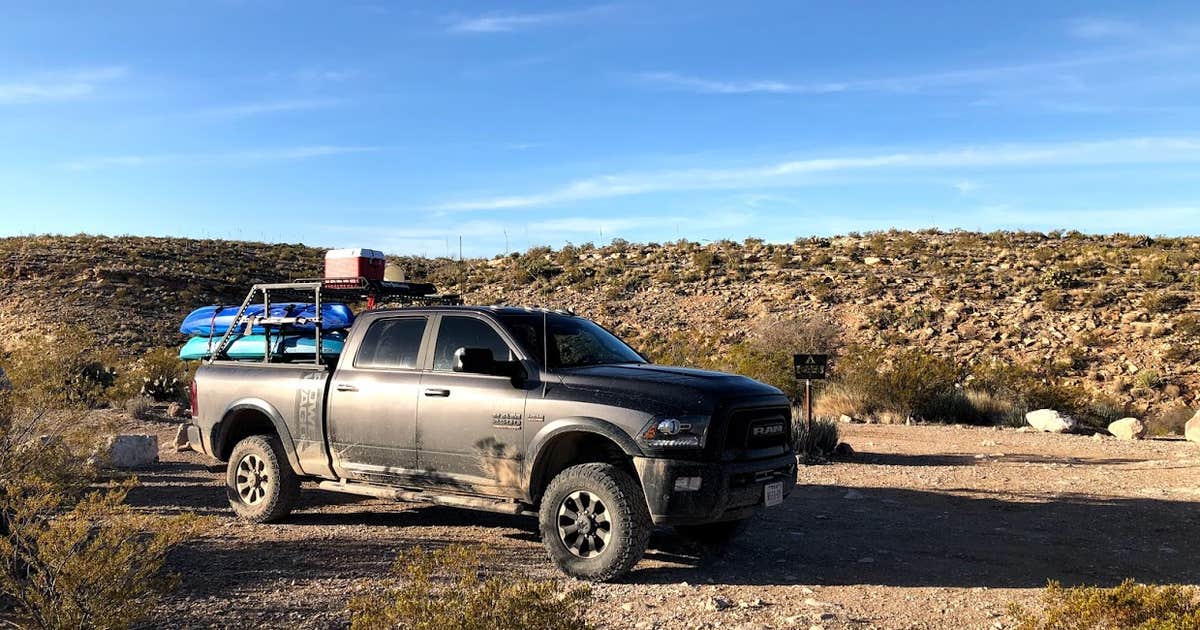 Candelilla — Big Bend National Park