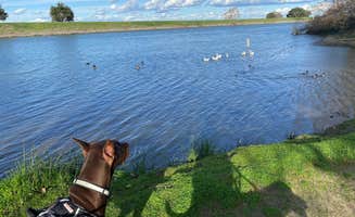 John C.'s photo of camping with pets at Vierra's Resort near Vacaville, CA