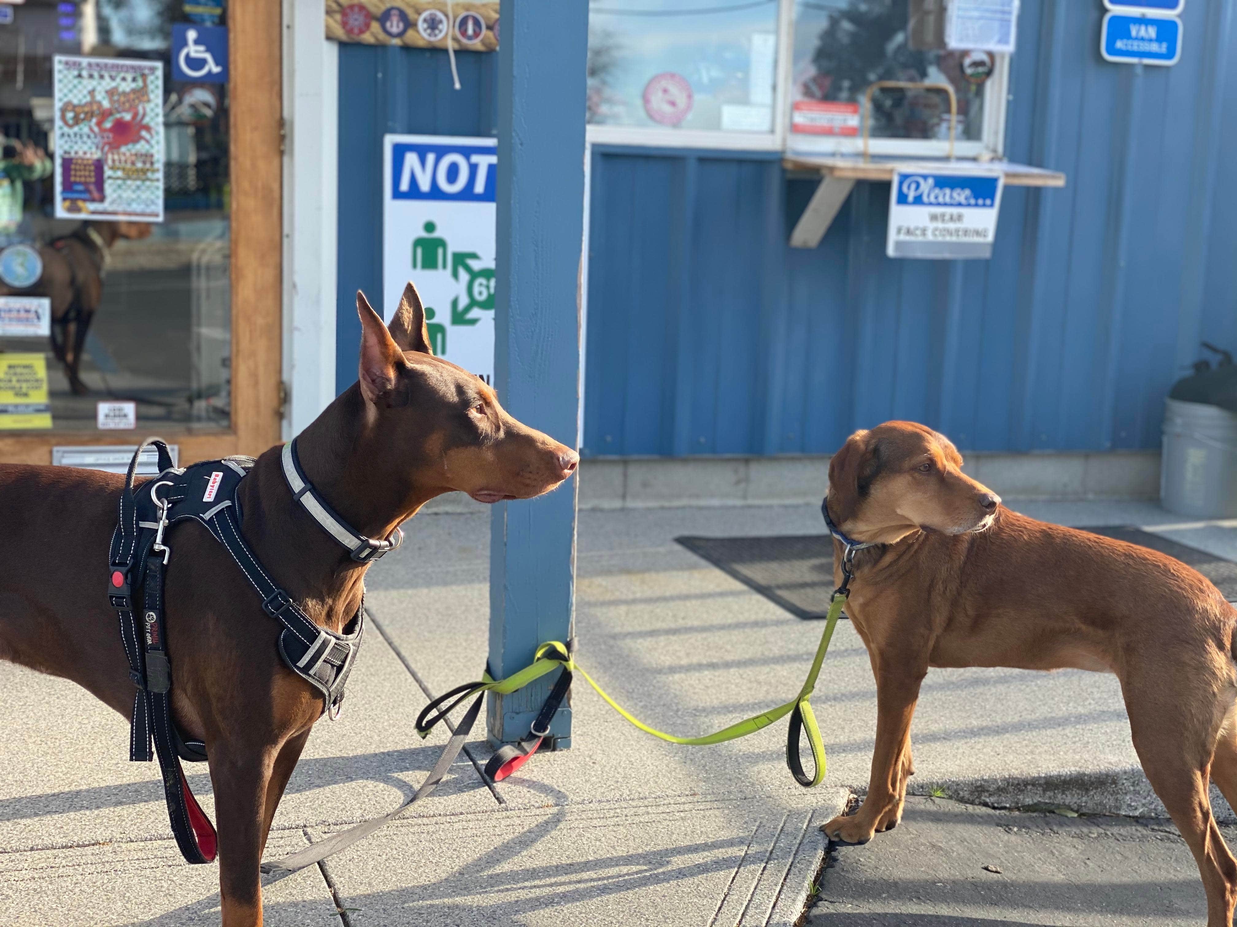 Camper-submitted photo at Vierra's Resort near Pittsburg, CA