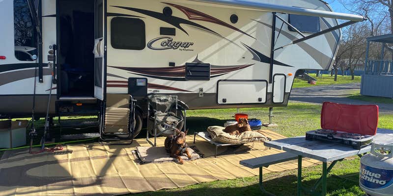 Camper submitted image from Vierra's Resort