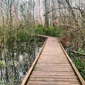 Review photo of Bayou Segnette State Park Campground by Carlyne F., February 16, 2021