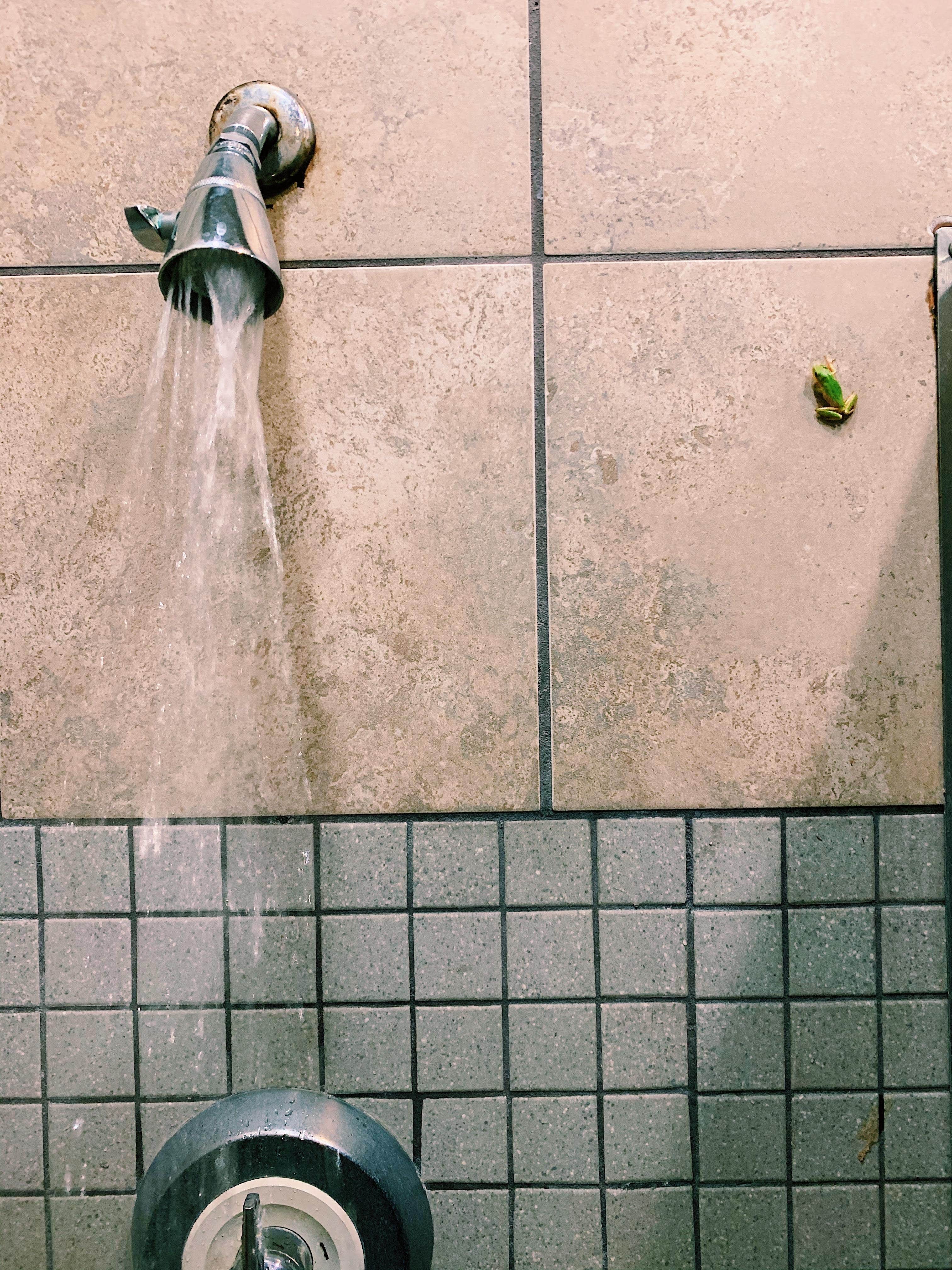 Camper-submitted photo at Bayou Segnette State Park Campground in Louisiana