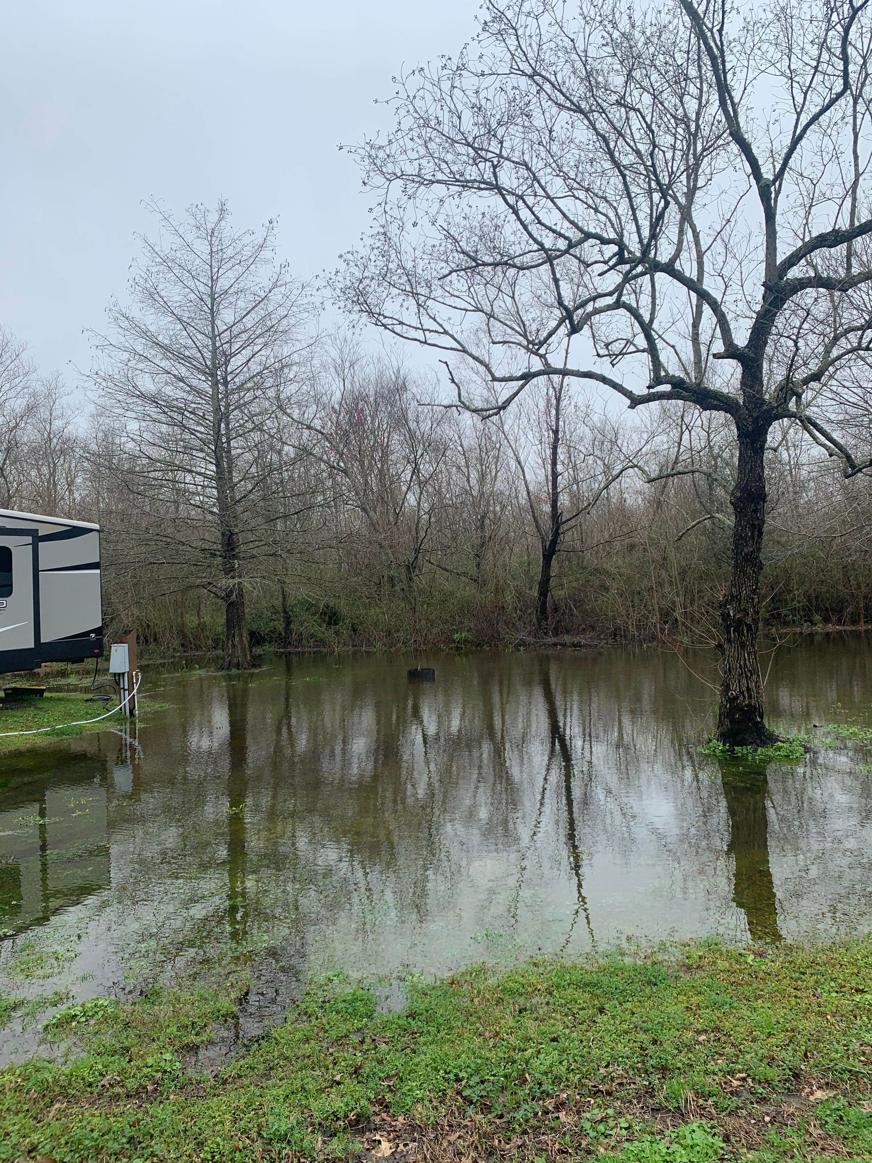 Carlyne F.'s photo of rv camping at Bayou Segnette State Park Campground near Lockport, LA