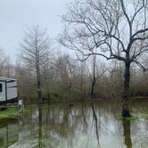 Review photo of Bayou Segnette State Park Campground by Carlyne F., February 16, 2021