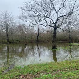 Bayou Segnette State Park Campground