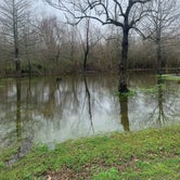 Review photo of Bayou Segnette State Park Campground by Carlyne F., February 16, 2021