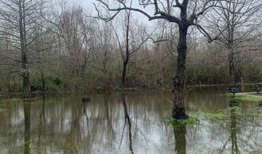 Louisiana photo 3