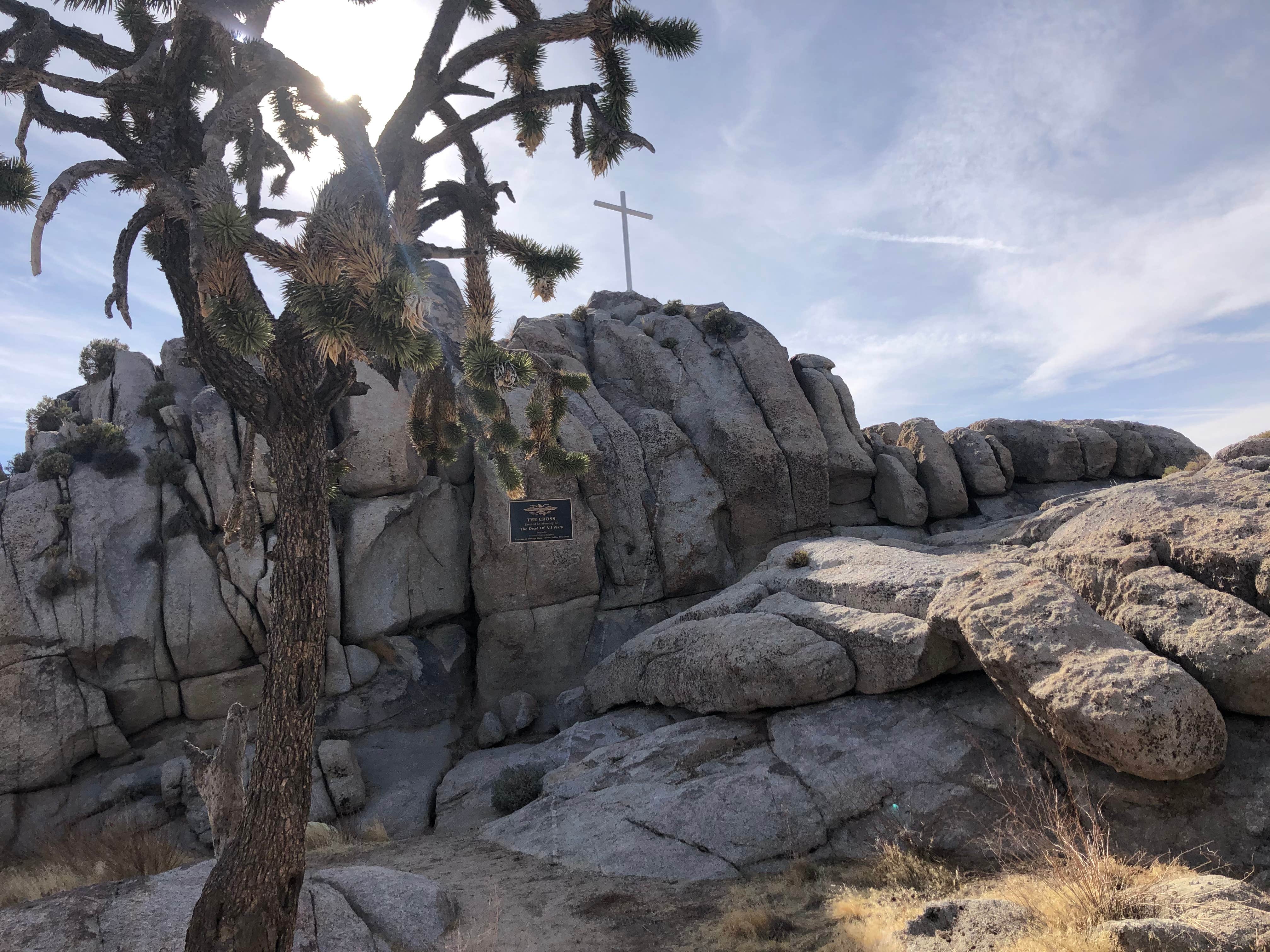 Camper-submitted photo at Mojave Cross Dispersed — Mojave National Preserve near Nipton, CA