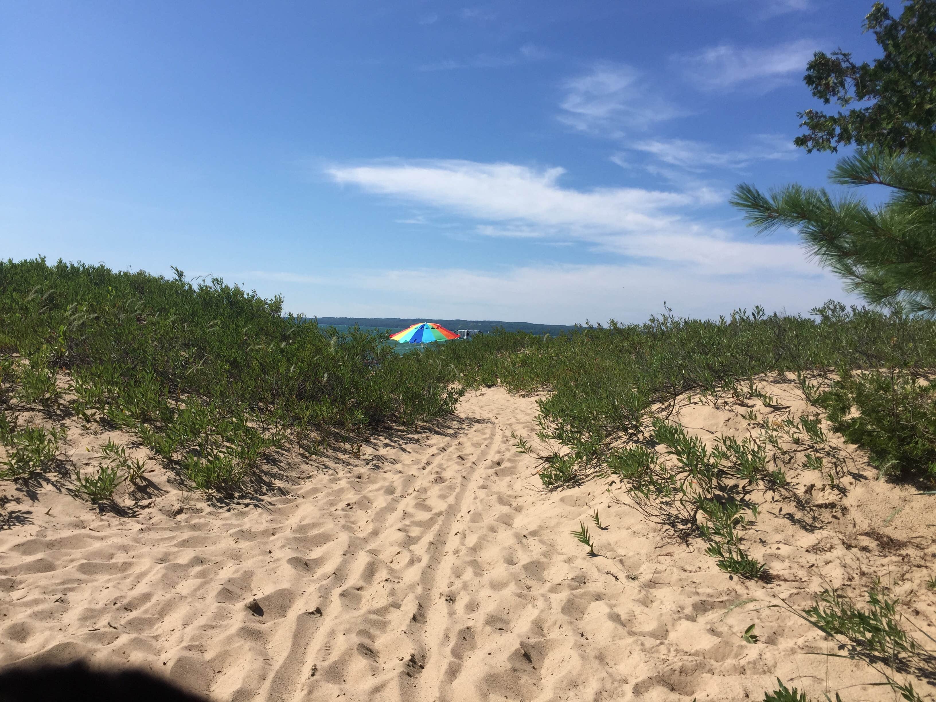 Camper-submitted photo at Young State Park Campground near Gaylord, MI