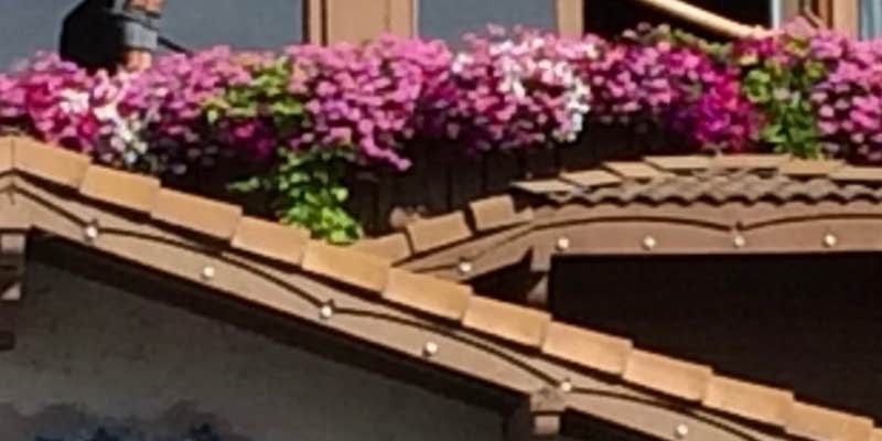 Camper submitted image from Icicle River RV Resort