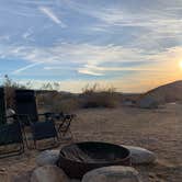 Review photo of Borrego Palm Canyon Campground — Anza-Borrego Desert State Park by Amy E., February 16, 2021