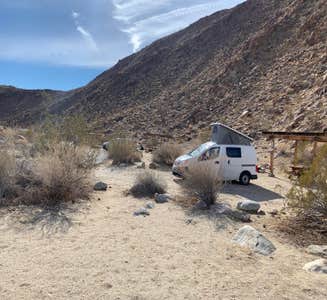 Camper-submitted photo from Borrego Palm Canyon Campground — Anza-Borrego Desert State Park