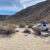 Review photo of Borrego Palm Canyon Campground — Anza-Borrego Desert State Park by Amy E., February 16, 2021