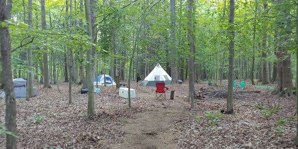 Camper submitted image from The Heron Farm and Events Center - 5
