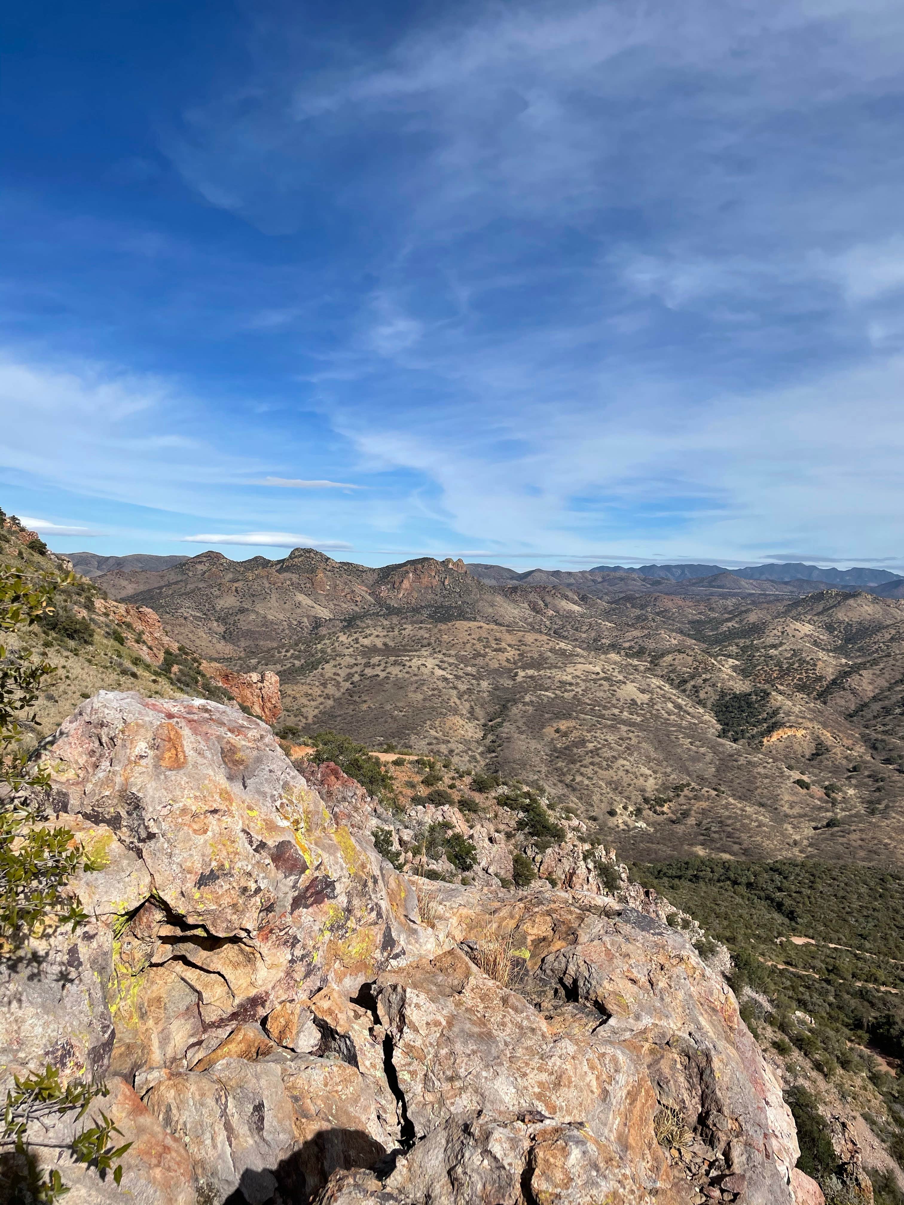 Camper-submitted photo at Harshaw Road Dispersed Camping - San Rafael Canyon near Sonoita, AZ