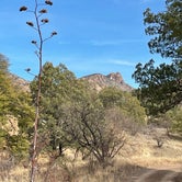 Review photo of Harshaw Road Dispersed Camping - San Rafael Canyon by Lindsay S., February 16, 2021