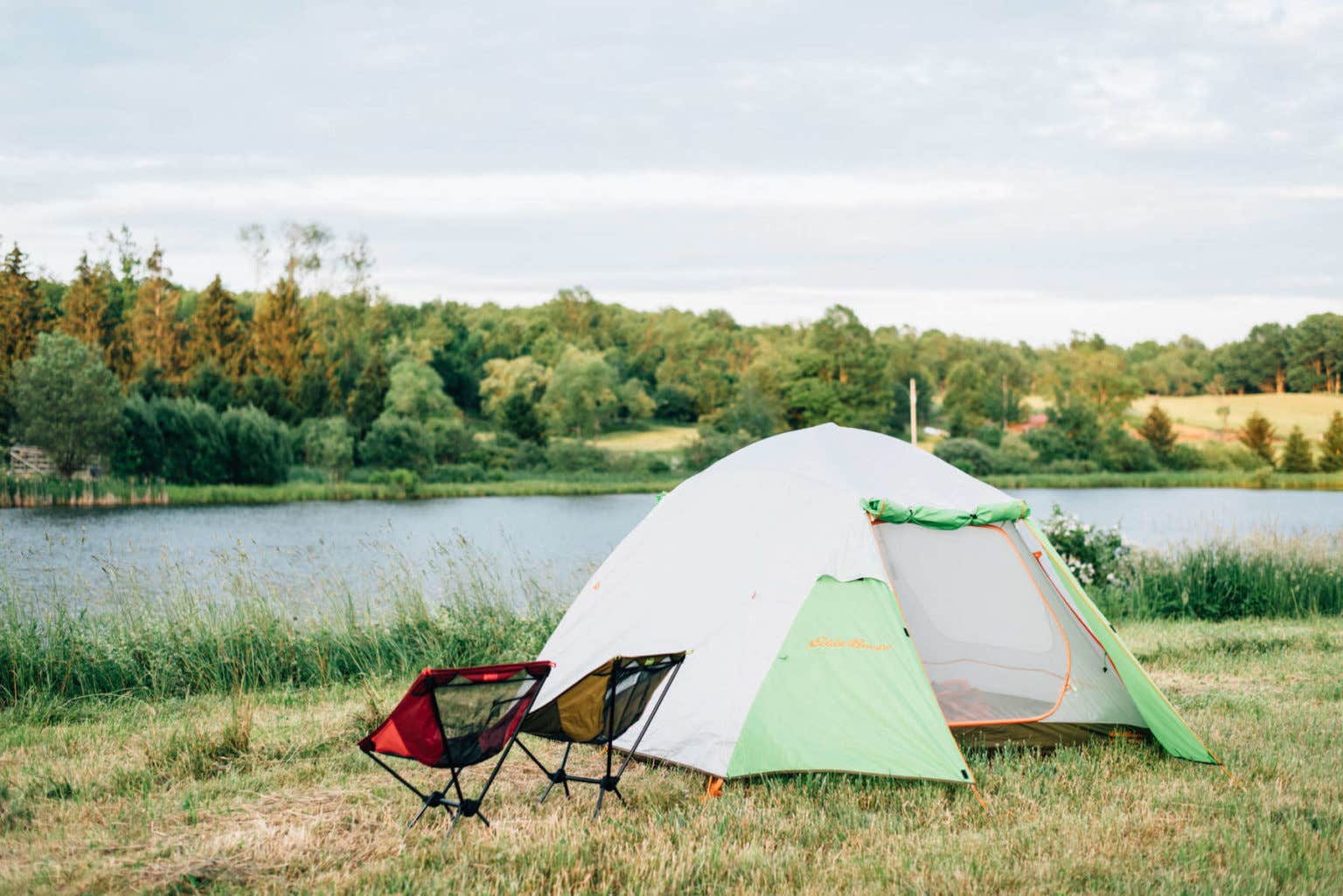 Camper submitted image from The Heron Farm and Events Center - 2
