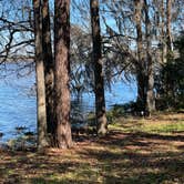 Review photo of Coe Landing Campground by Joana A., February 16, 2021