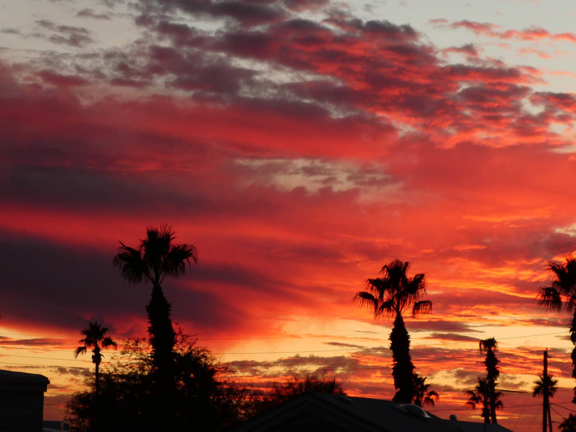 Camper-submitted photo at Weaver's Needle RV Resort near Globe, AZ