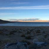 Review photo of Sportsmans Beach Walker Lake Recreation Area by ReinerB , February 17, 2021