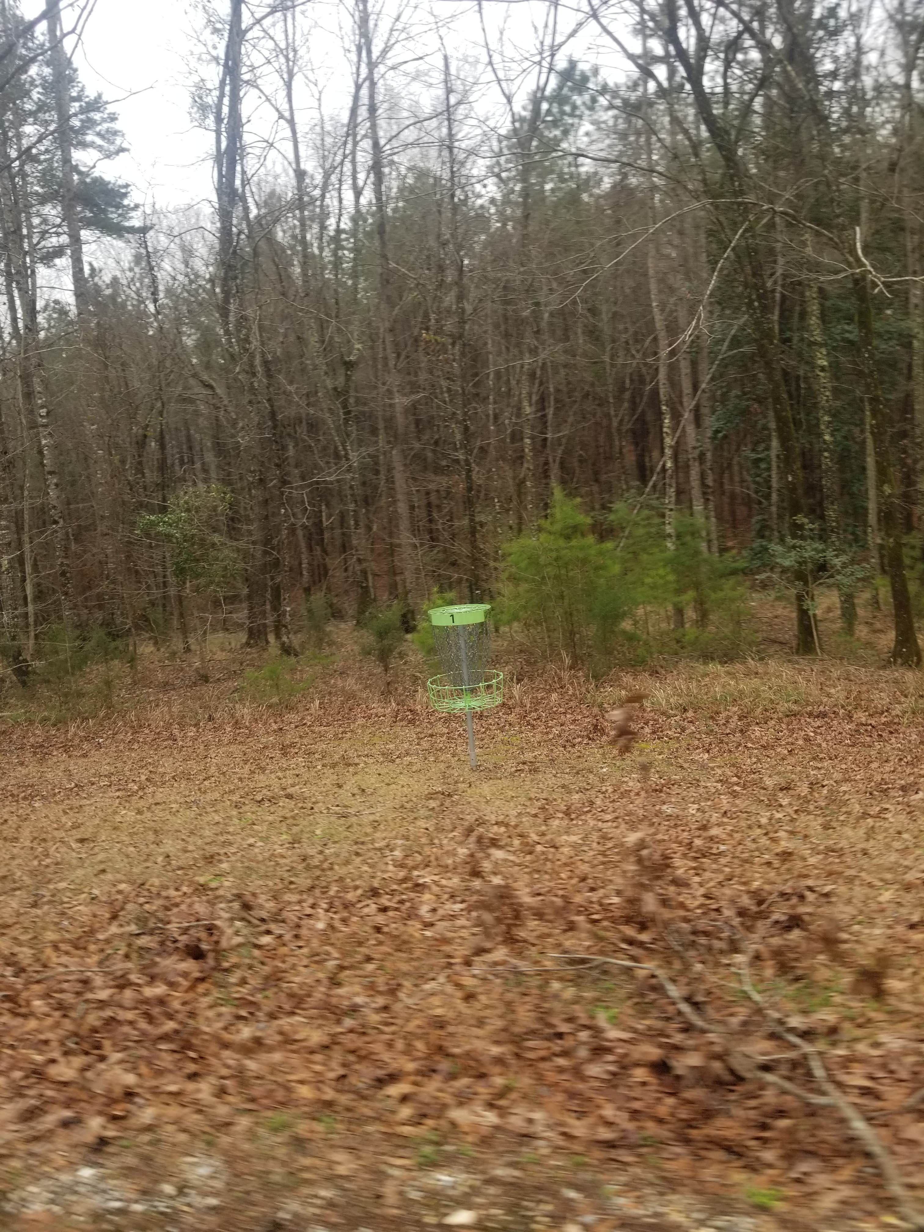 Camper-submitted photo at St. Stephens Historical Park near Silas, AL