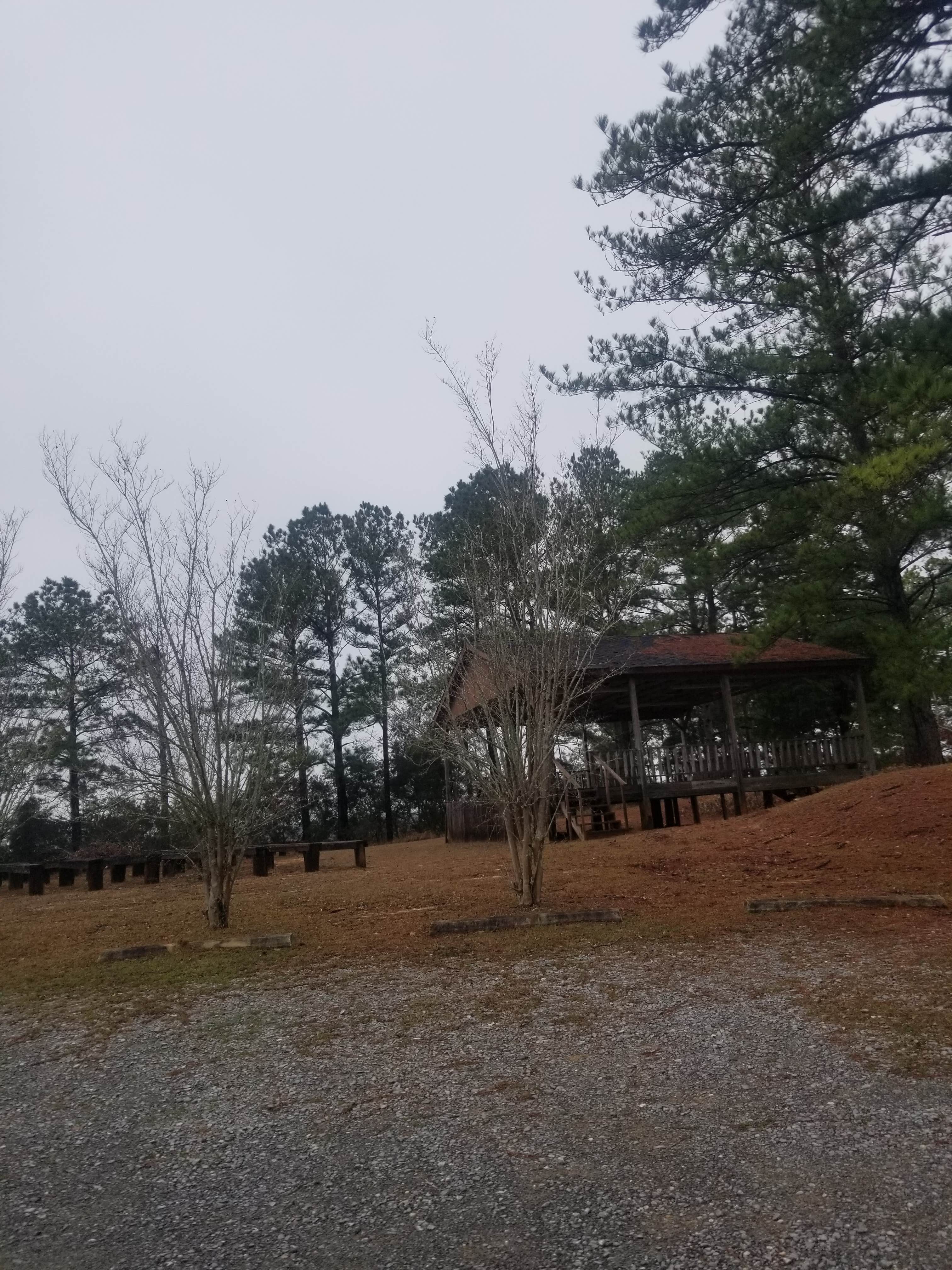 Camper-submitted photo at St. Stephens Historical Park near Silas, AL