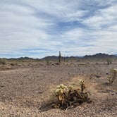 Review photo of La Posa South BLM Long Term Visitor Area (LTVA) by Nathan K., February 17, 2021