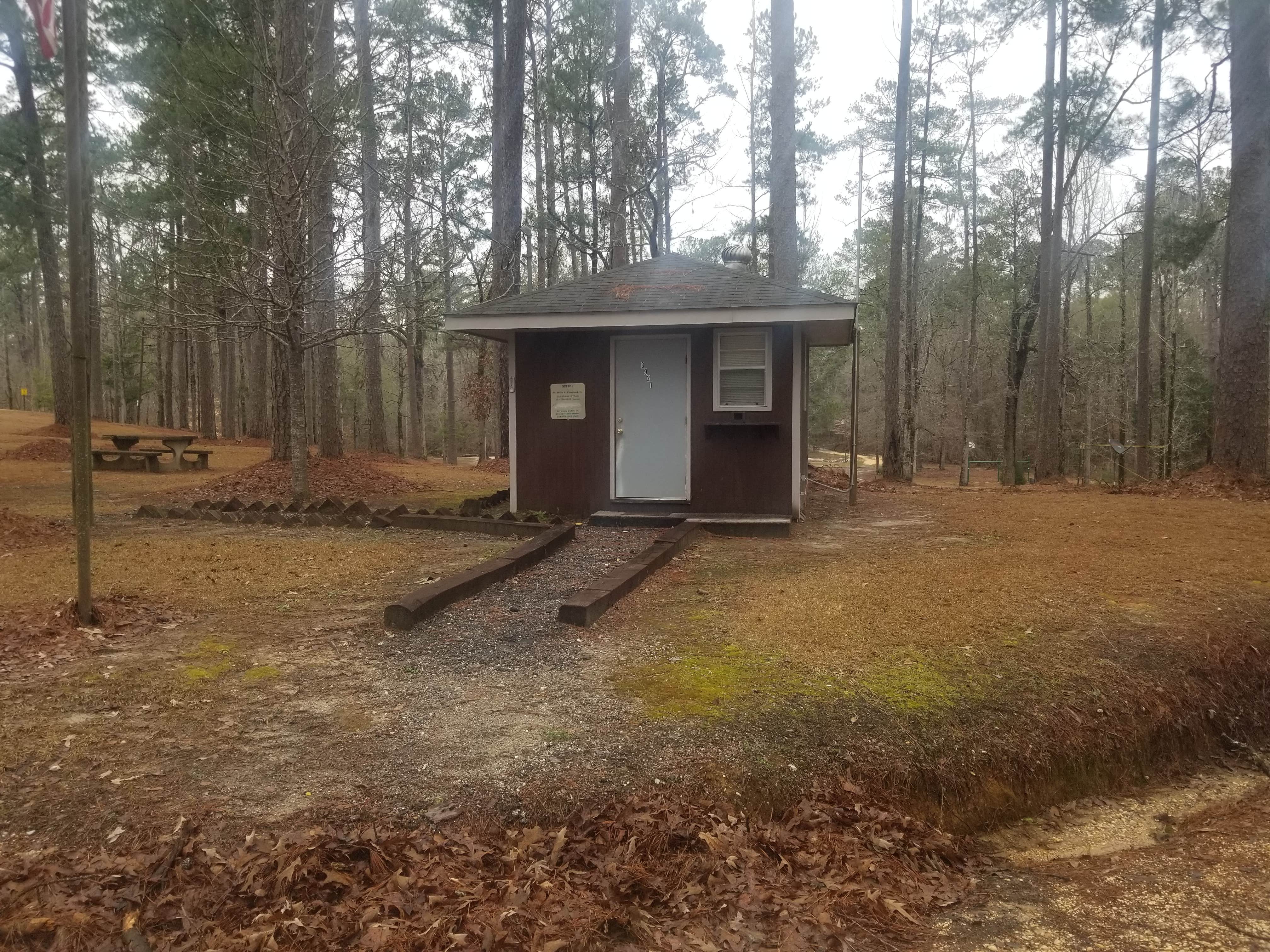 Camper submitted image from Bladon Springs State Park - Temporarily Closed - 2