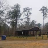 Review photo of Bladon Springs State Park by Gregg G., February 17, 2021