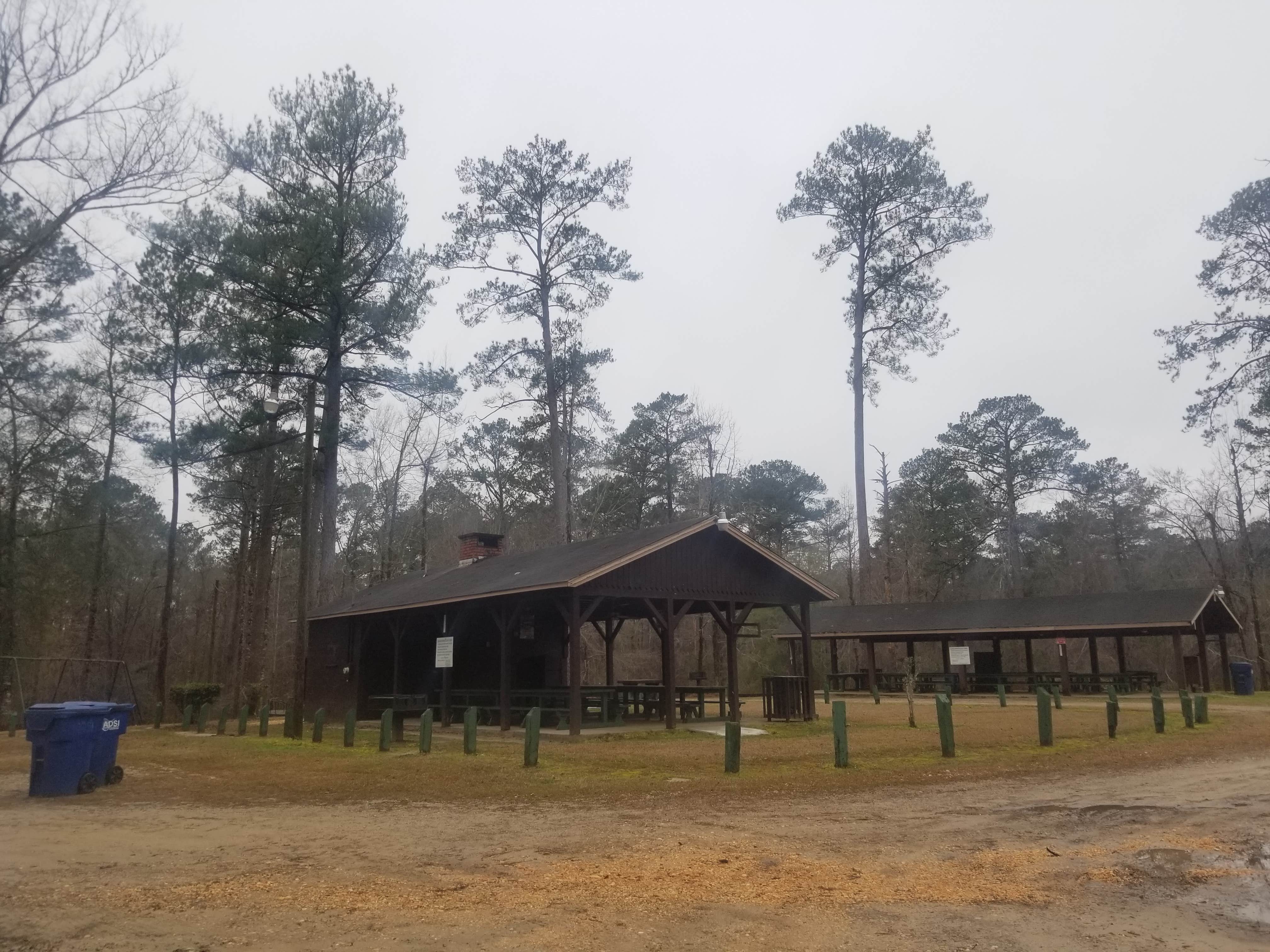 Camper submitted image from Bladon Springs State Park - 3