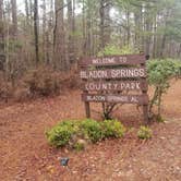 Review photo of Bladon Springs State Park by Gregg G., February 17, 2021