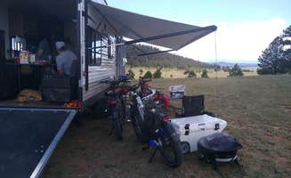 Nikki and Will W.'s photo at Tarryall Creek- Dispersed Camping in Colorado