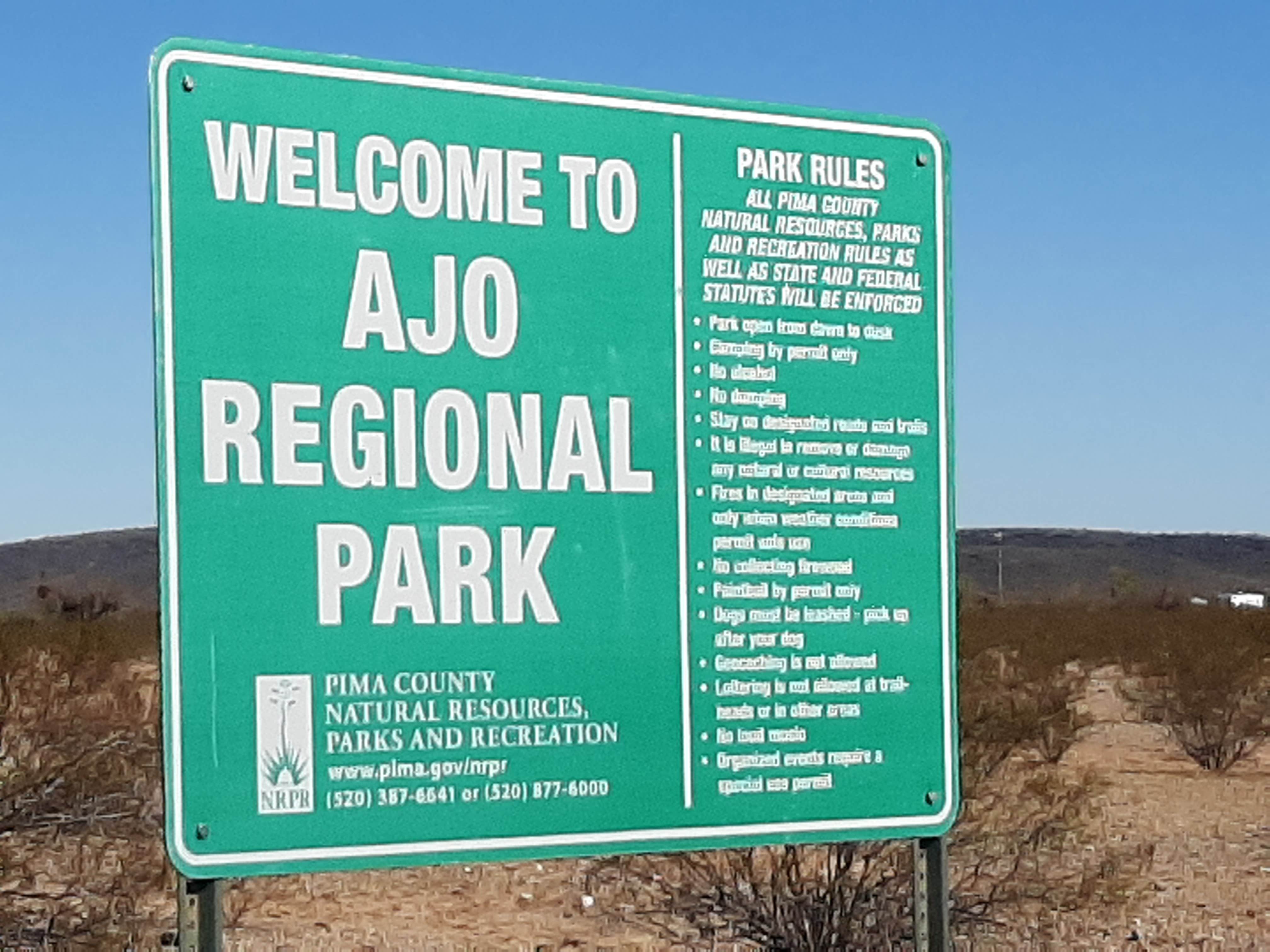 Camper submitted image from Ajo Regional Park - Dennison Camping Area - 1