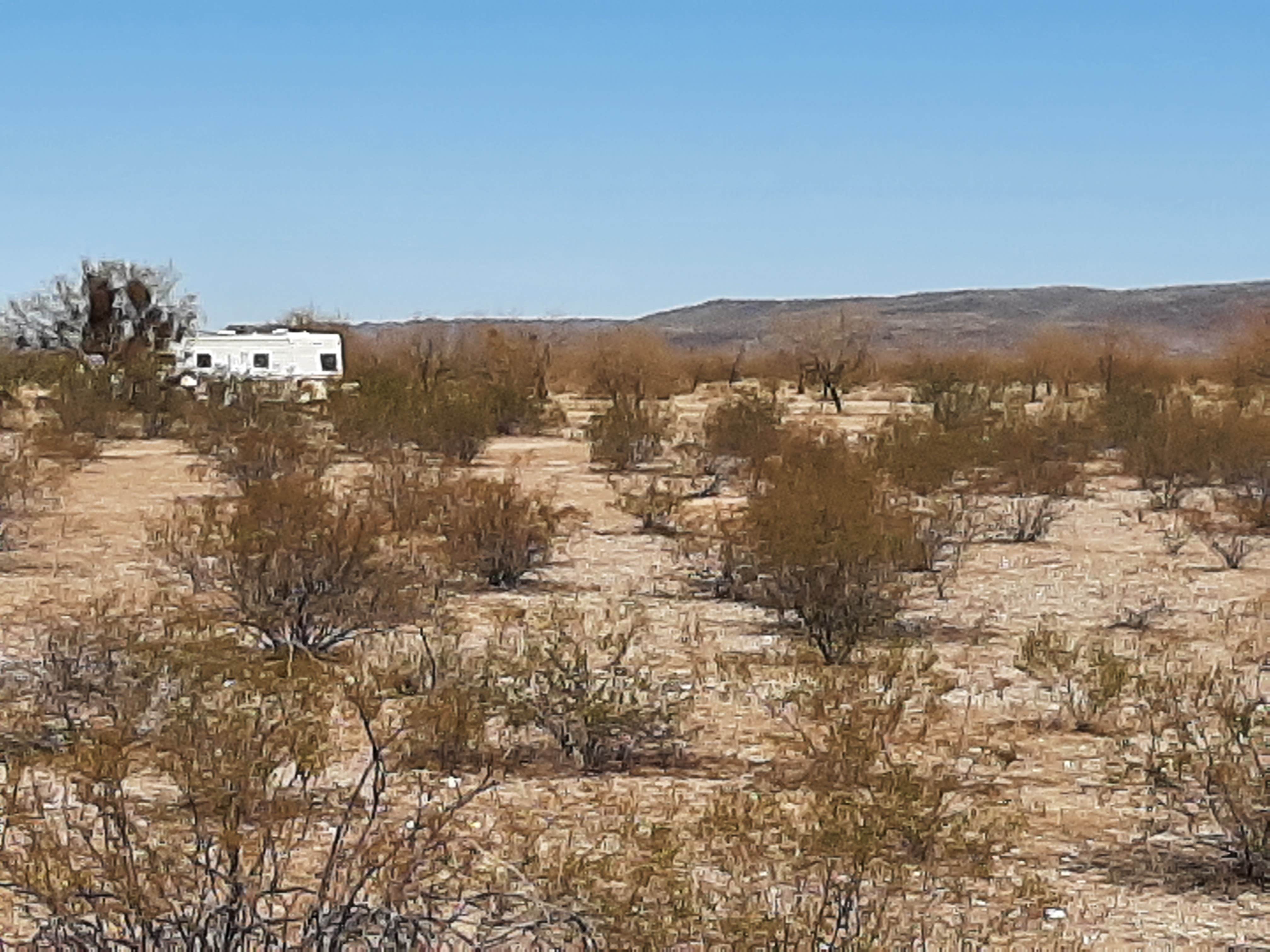 Camper submitted image from Ajo Regional Park - Dennison Camping Area - 3